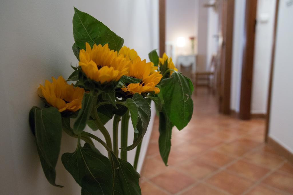 אוסונה Casa Rural Migolla מראה חיצוני תמונה